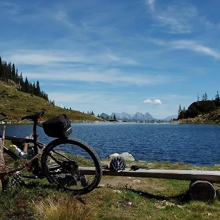 Salvenmoser Johanna Scheffau am Wilden Kaiser