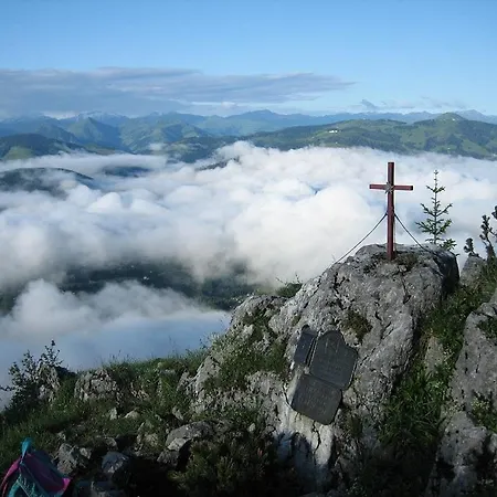 Salvenmoser Johanna * Scheffau am Wilden Kaiser