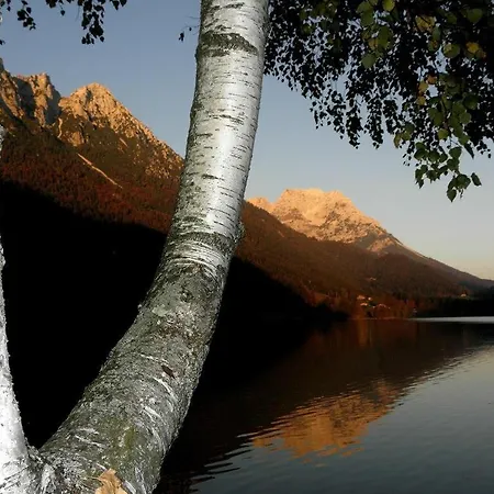 Salvenmoser Johanna Apartment Scheffau am Wilden Kaiser