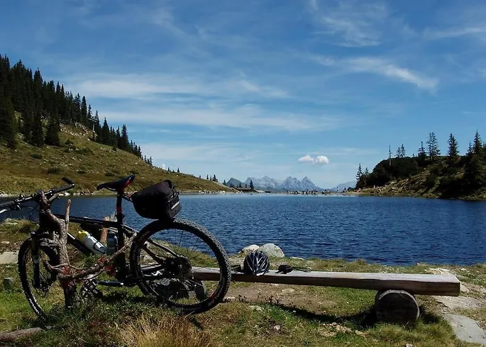 Salvenmoser Johanna Scheffau am Wilden Kaiser