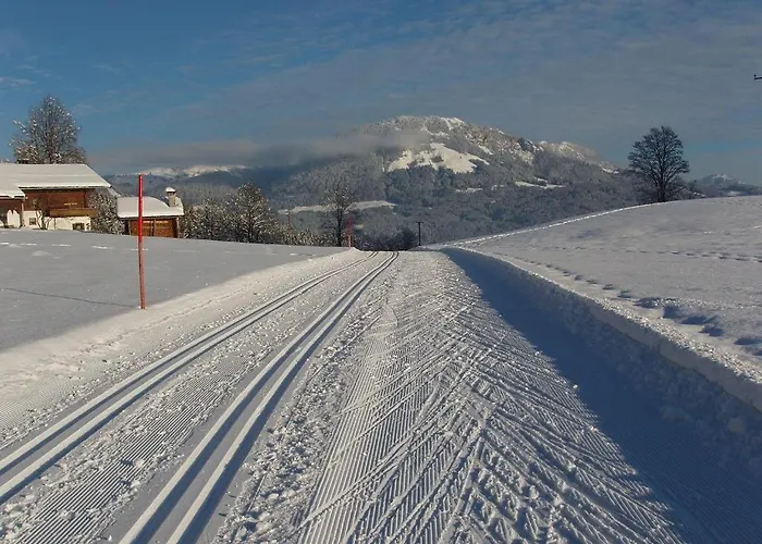 Apartman Salvenmoser Johanna *