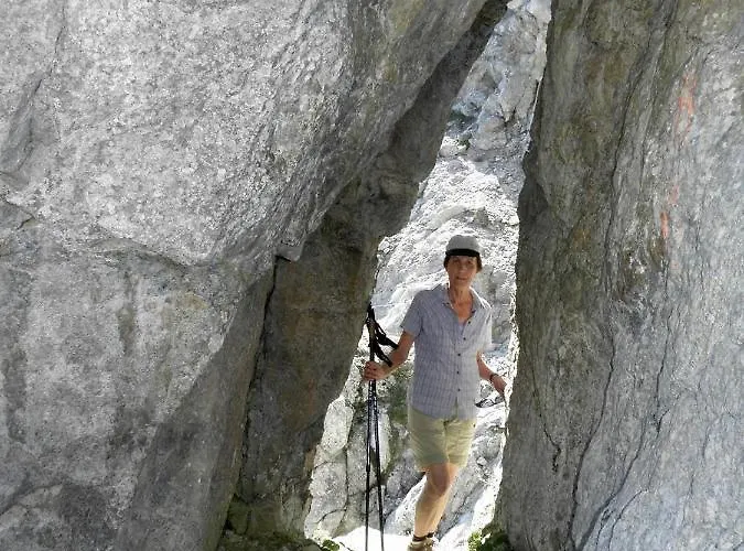 Salvenmoser Johanna *