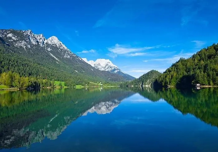 Salvenmoser Johanna *