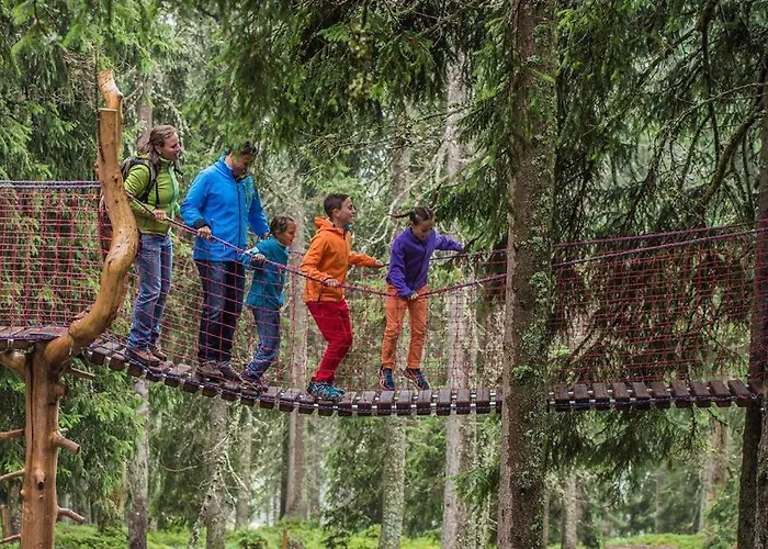 Salvenmoser Johanna Apartman Scheffau am Wilden Kaiser