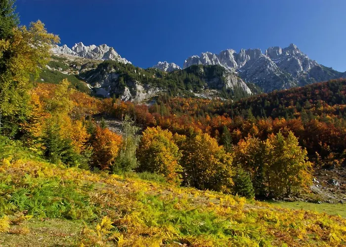 Salvenmoser Johanna Apartman