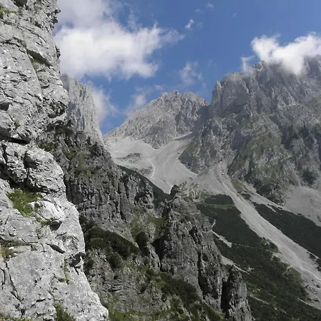 Salvenmoser Johanna Scheffau am Wilden Kaiser