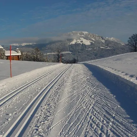 Daire Salvenmoser Johanna *