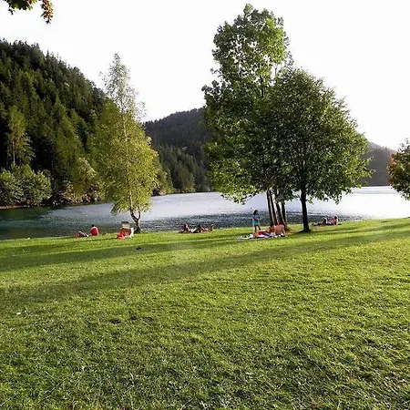 Salvenmoser Johanna Daire