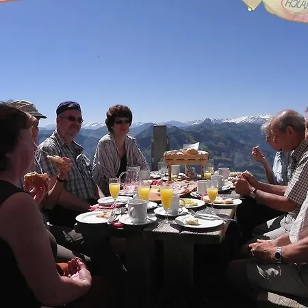 Salvenmoser Johanna Daire