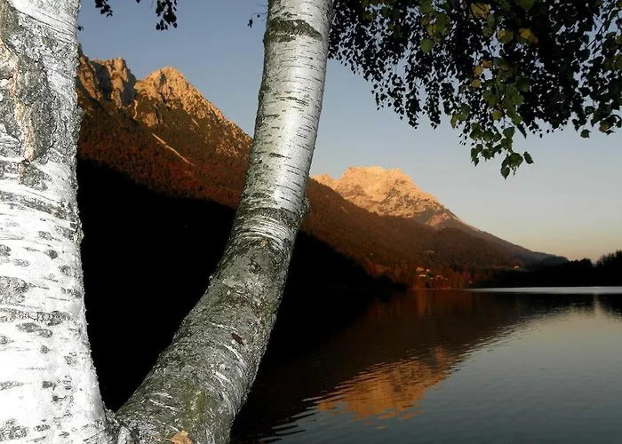 Salvenmoser Johanna Appartamento Scheffau am Wilden Kaiser