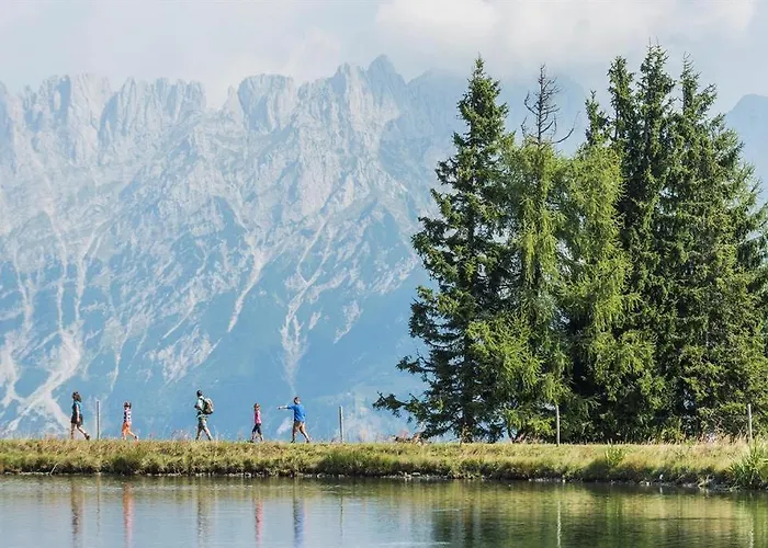 Appartamento Salvenmoser Johanna Scheffau am Wilden Kaiser