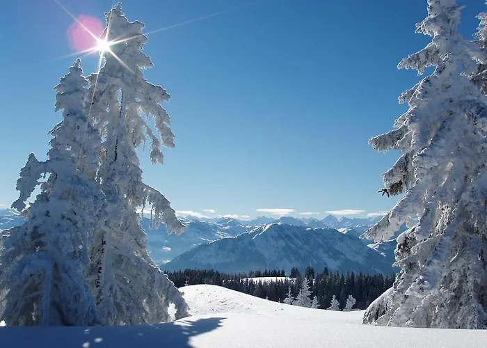 Appartamento Salvenmoser Johanna Scheffau am Wilden Kaiser