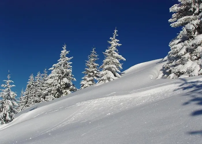 Salvenmoser Johanna Appartamento